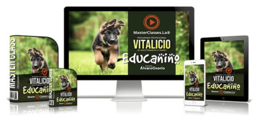 Educanino